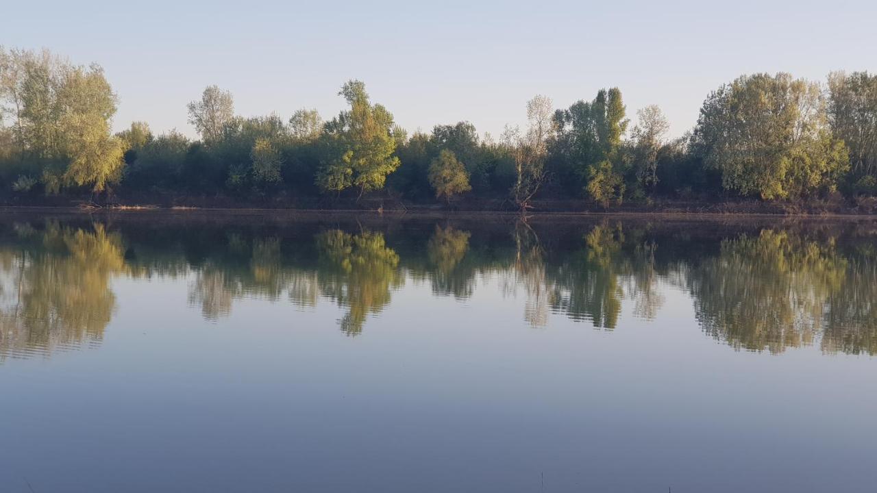 Vila Sava Jarak エクステリア 写真