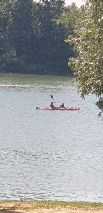 Vila Sava Jarak エクステリア 写真
